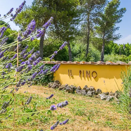 Fienile By Interhome * Sasso Pisano