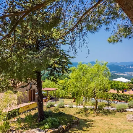 Fienile By Interhome * Sasso Pisano