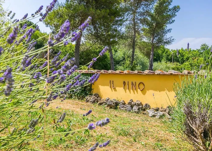 Fienile By Interhome * Sasso Pisano